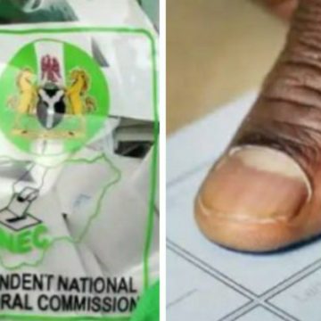 Outrage over missing LP logo on INEC result sheet in Edo LG Ward