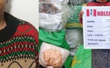 NDLEA nabs suspected drug baroness, four kingpins, three syndicates in Lagos