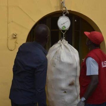 NDLEA uncovers 25.5kg cannabis during Gombe primary school raid