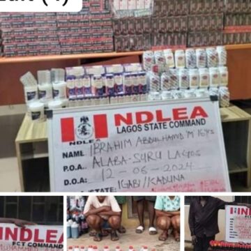 NDLEA busts ‘skuchies’ brewery, makes arrest