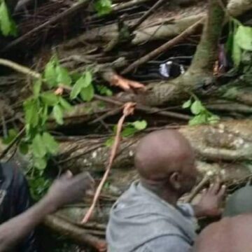 Four confirmed dead in Edo market disaster