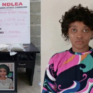 Wanted ex-beauty queen suspect bows to NDLEA