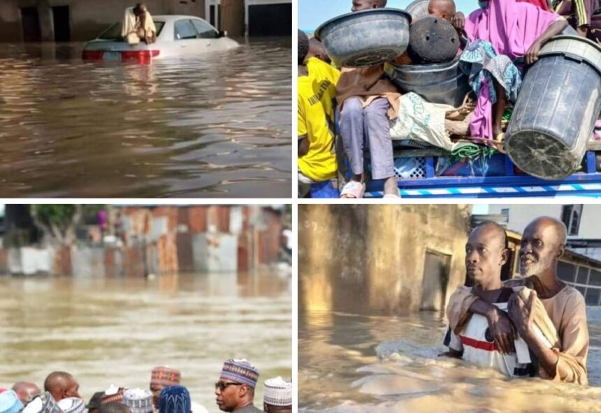 Flood: 20,000 IDPs get N10,000 cash from govt