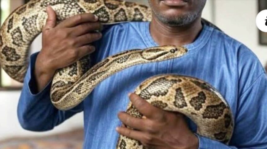 Gov’s aide slammed for tossing snake in govt house