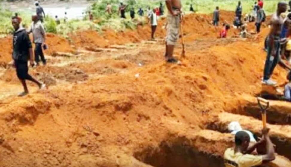 1a7f4ee3-8025-45fe-aa89-5f9a23cd970c Farmers petition Tinubu over killings, seek justice for Yelewata victims