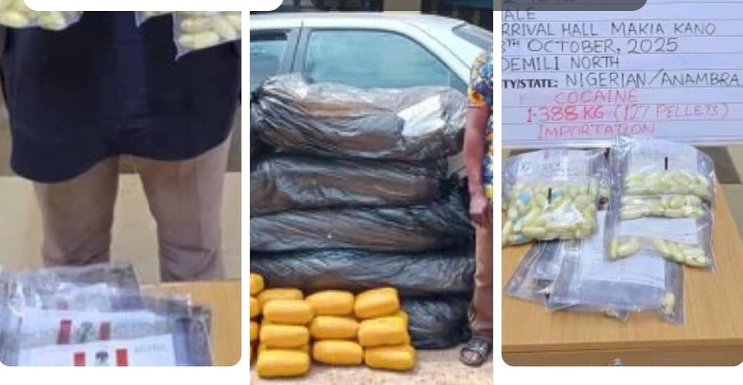 NDLEA intercepts illicit drugs drinks, bags, soap tablets at Kano airport