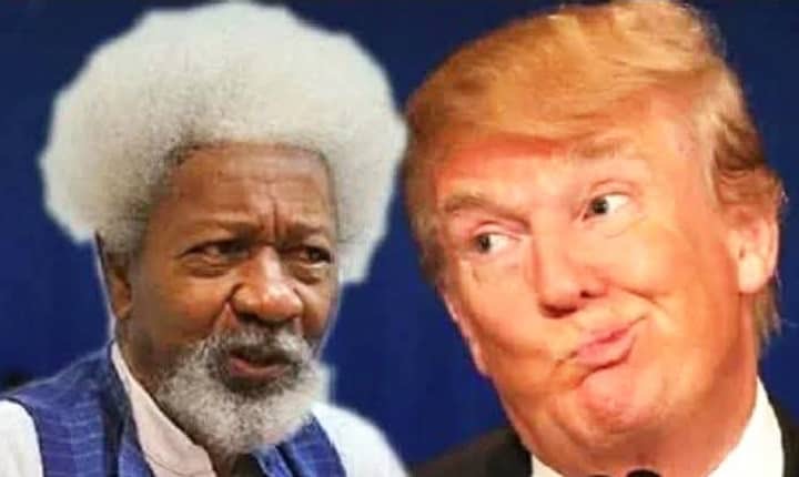 ad5f8483-9a9f-4cd1-a1a4-562a5e2111ce Between tearing the green card and visa revocation